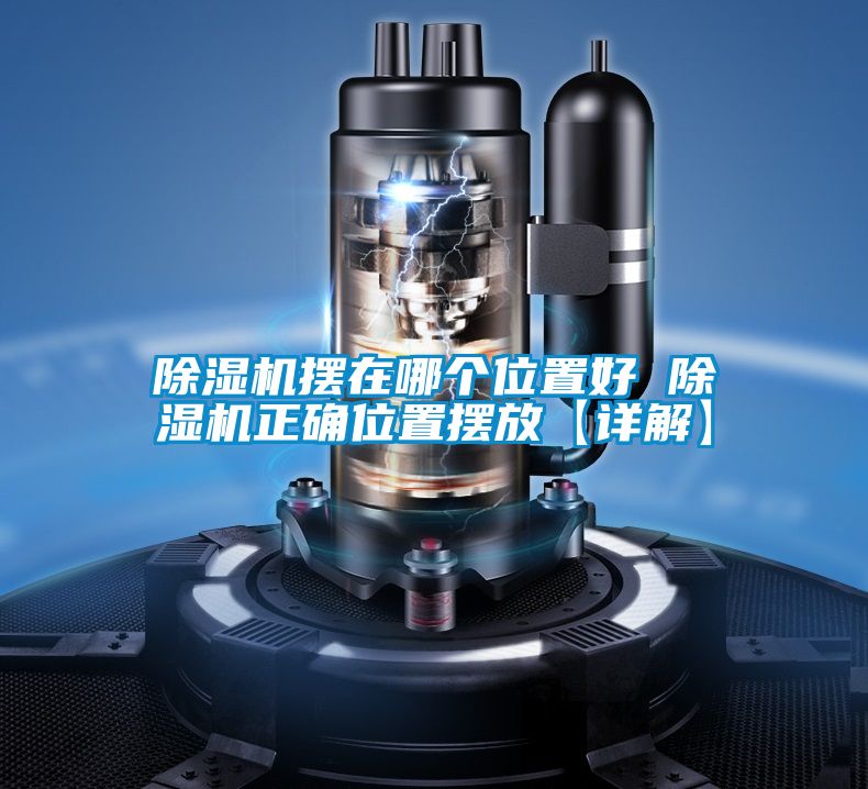 草莓视频APP在线观看摆在哪个位置好 草莓视频APP在线观看正确位置摆放【详解】