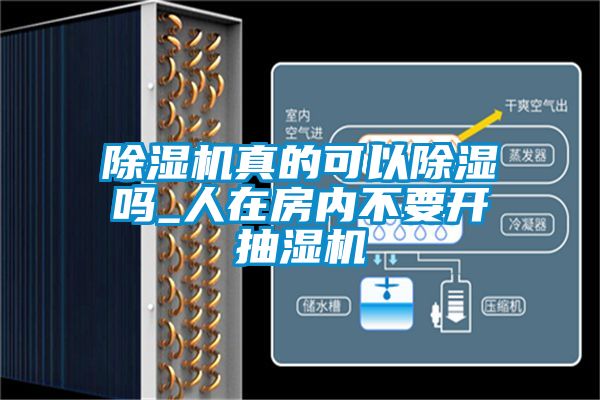 草莓视频APP在线观看真的可以除湿吗_人在房内不要开抽湿机