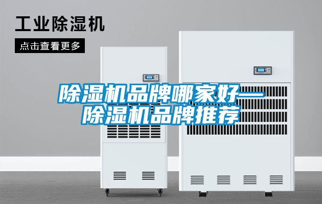 草莓视频APP在线观看品牌哪家好—草莓视频APP在线观看品牌推荐