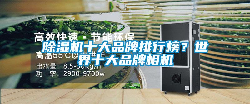 草莓视频APP在线观看十大品牌排行榜？世界十大品牌相机
