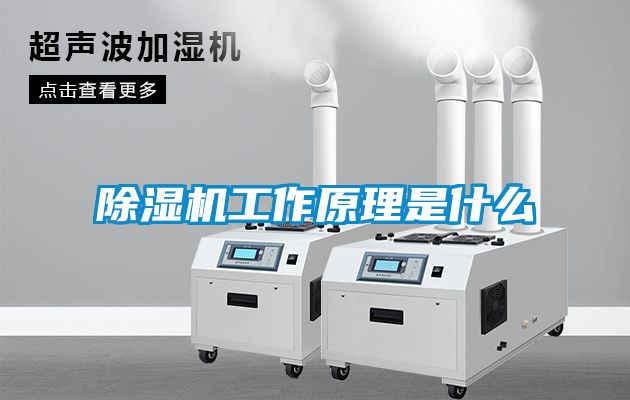 草莓视频APP在线观看工作原理是什么
