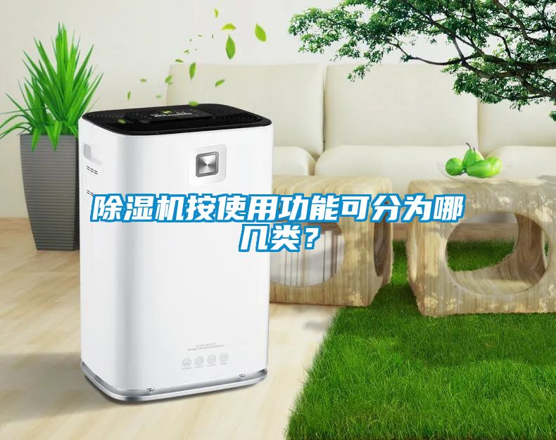 草莓视频APP在线观看按使用功能可分为哪几类？