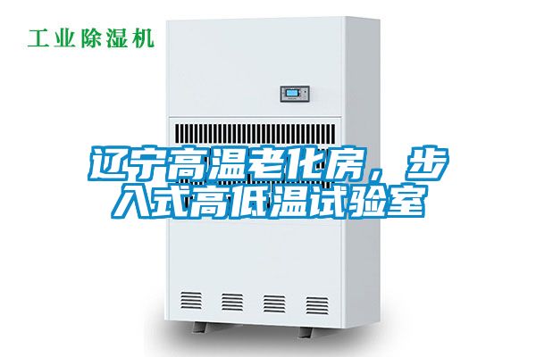 辽宁高温老化房，步入式高低温试验室