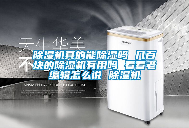 草莓视频APP在线观看真的能除湿吗 几百块的草莓视频APP在线观看有用吗 看看老编辑怎么说 草莓视频APP在线观看