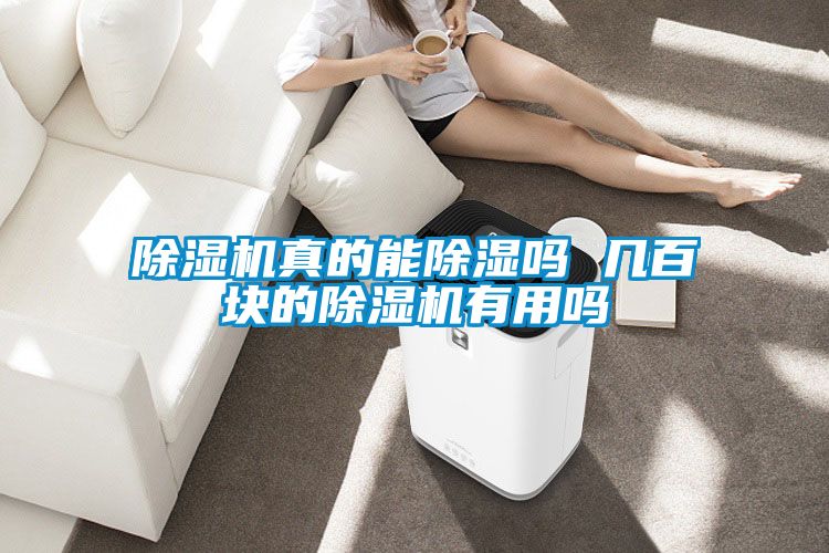 草莓视频APP在线观看真的能除湿吗 几百块的草莓视频APP在线观看有用吗