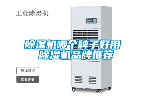 草莓视频APP在线观看哪个牌子好用 草莓视频APP在线观看品牌推荐