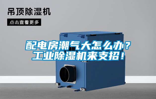 配电房潮气大怎么办？工业草莓视频APP在线观看来支招！