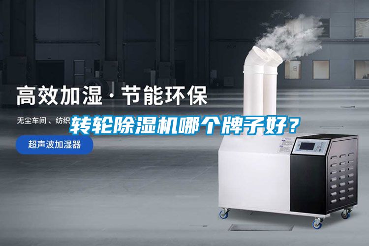 转轮草莓视频APP在线观看哪个牌子好？
