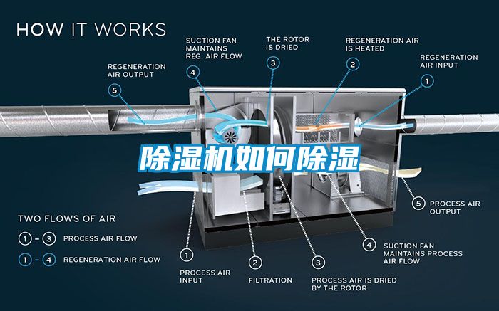 草莓视频APP在线观看如何除湿