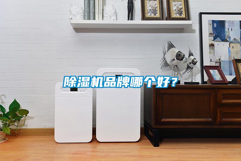 草莓视频APP在线观看品牌哪个好？