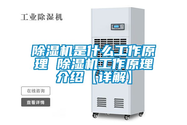 草莓视频APP在线观看是什么工作原理 草莓视频APP在线观看工作原理介绍【详解】