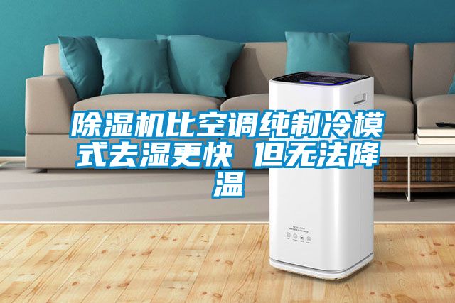 草莓视频APP在线观看比空调纯制冷模式去湿更快 但无法降温