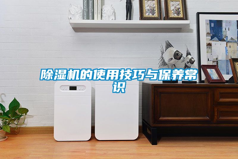 草莓视频APP在线观看的使用技巧与保养常识