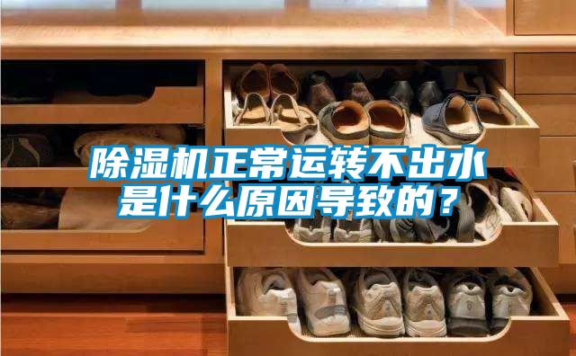 草莓视频APP在线观看正常运转不出水是什么原因导致的？