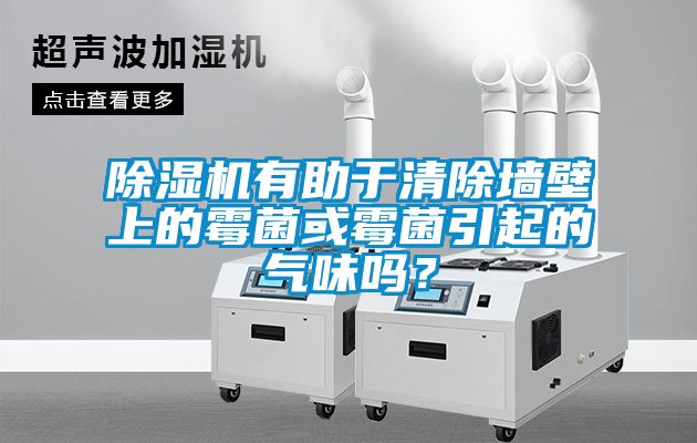 草莓视频APP在线观看有助于清除墙壁上的霉菌或霉菌引起的气味吗？