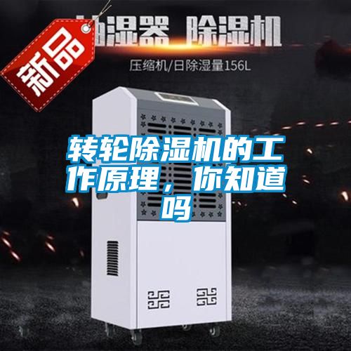 转轮草莓视频APP在线观看的工作原理，你知道吗