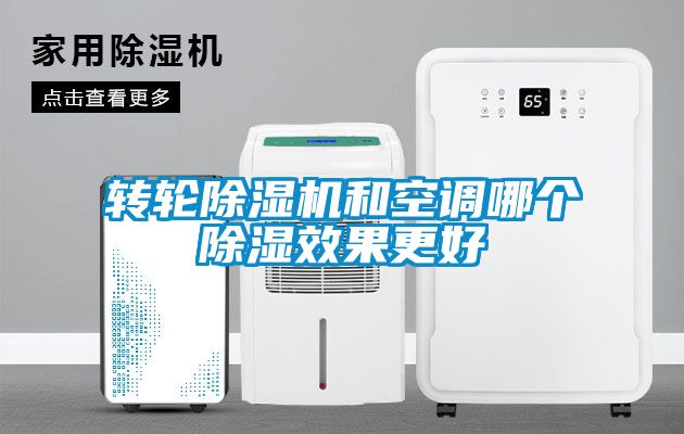 转轮草莓视频APP在线观看和空调哪个除湿效果更好