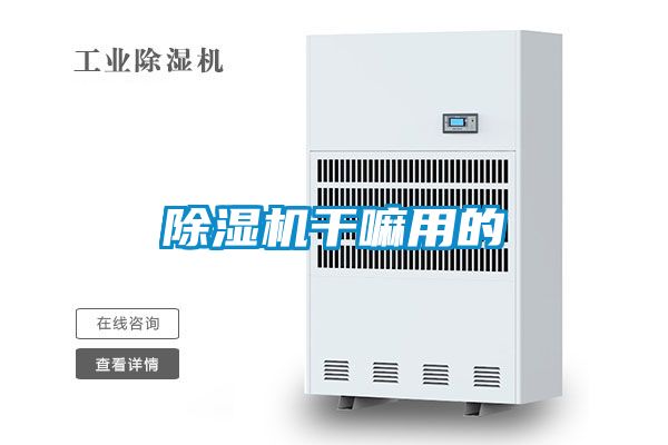 草莓视频APP在线观看干嘛用的