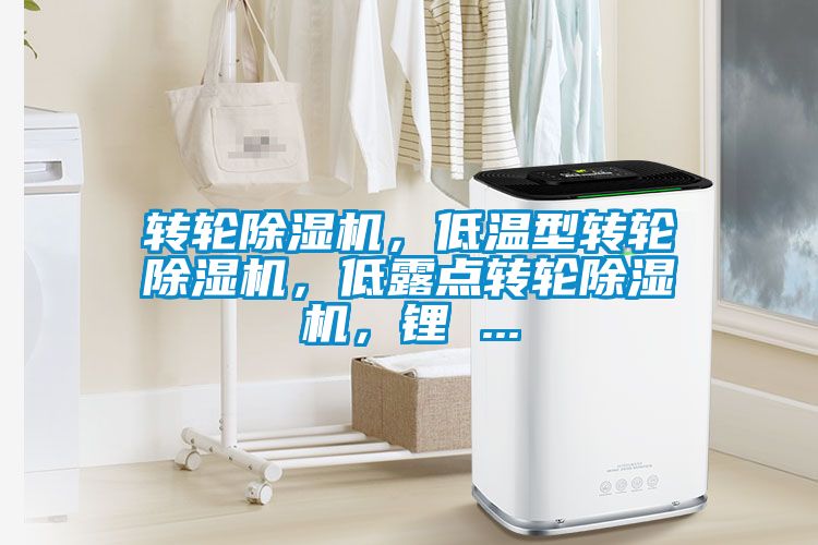 转轮草莓视频APP在线观看，低温型转轮草莓视频APP在线观看，低露点转轮草莓视频APP在线观看，锂 ...