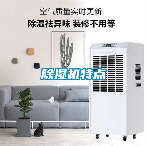 草莓视频APP在线观看特点