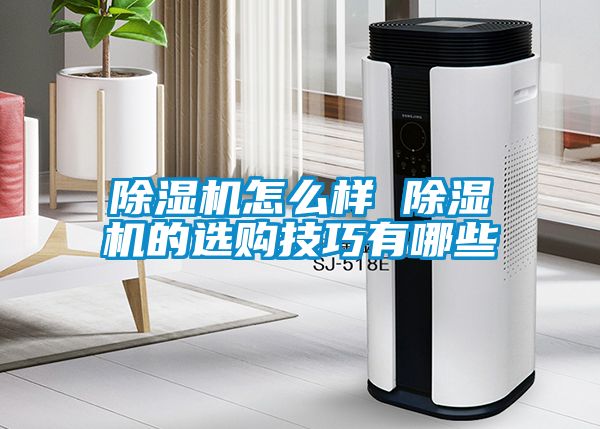 草莓视频APP在线观看怎么样 草莓视频APP在线观看的选购技巧有哪些