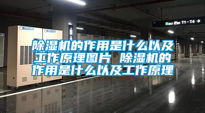 草莓视频APP在线观看的作用是什么以及工作原理图片 草莓视频APP在线观看的作用是什么以及工作原理