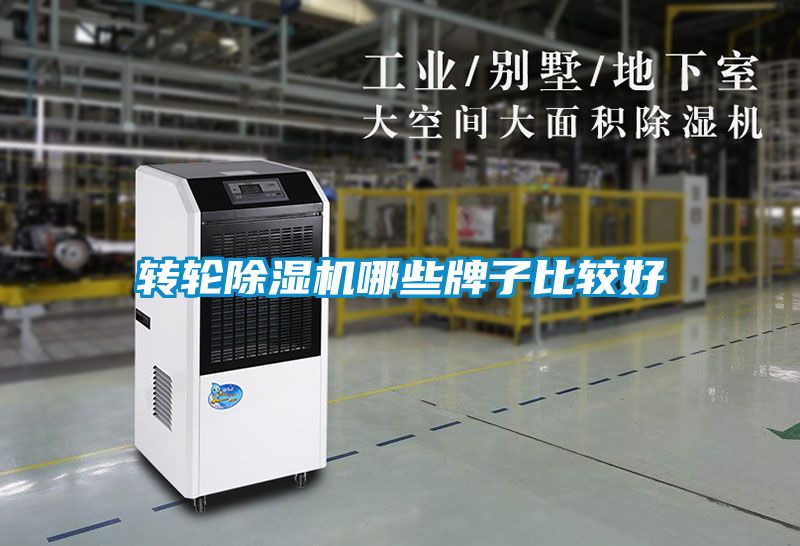 转轮草莓视频APP在线观看哪些牌子比较好