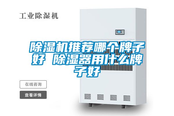 草莓视频APP在线观看推荐哪个牌子好 除湿器用什么牌子好