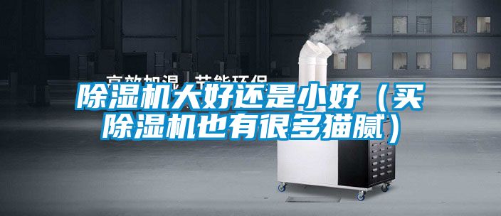 草莓视频APP在线观看大好还是小好（买草莓视频APP在线观看也有很多猫腻）