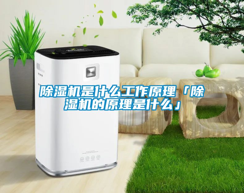 草莓视频APP在线观看是什么工作原理「草莓视频APP在线观看的原理是什么」