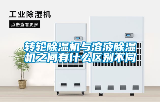 转轮草莓视频APP在线观看与溶液草莓视频APP在线观看之间有什么区别不同