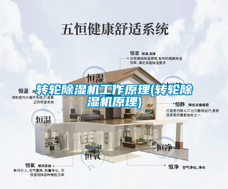 转轮草莓视频APP在线观看工作原理(转轮草莓视频APP在线观看原理)