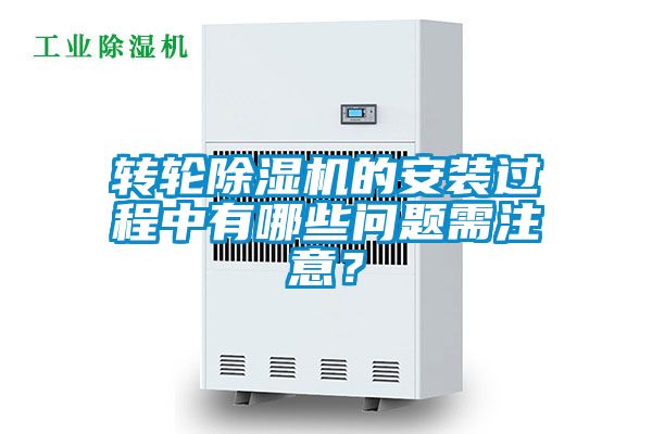 转轮草莓视频APP在线观看的安装过程中有哪些问题需注意？