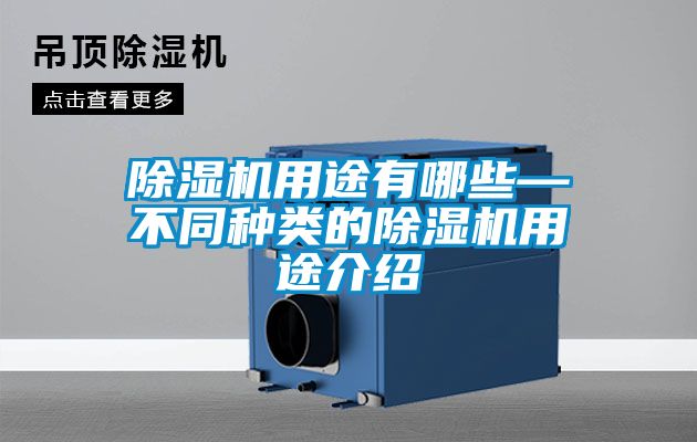 草莓视频APP在线观看用途有哪些—不同种类的草莓视频APP在线观看用途介绍