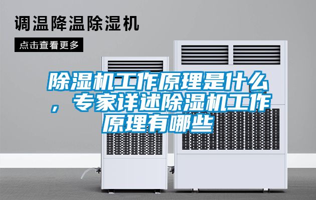 草莓视频APP在线观看工作原理是什么，专家详述草莓视频APP在线观看工作原理有哪些