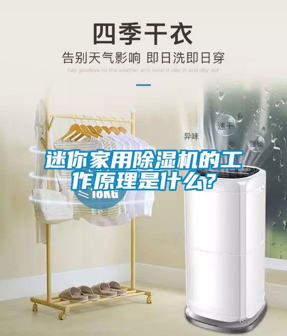 迷你家用草莓视频APP在线观看的工作原理是什么？