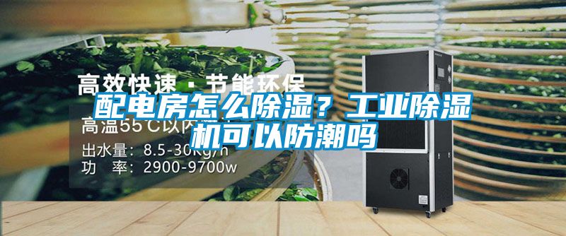 配电房怎么除湿？工业草莓视频APP在线观看可以防潮吗