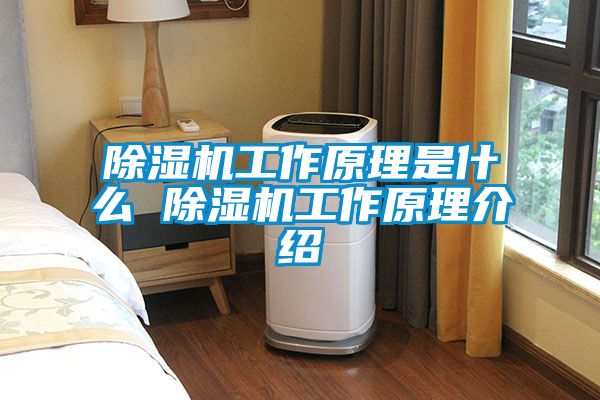 草莓视频APP在线观看工作原理是什么 草莓视频APP在线观看工作原理介绍