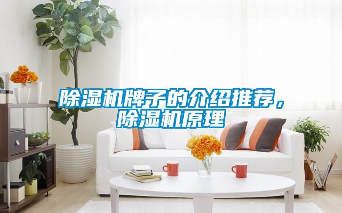 草莓视频APP在线观看牌子的介绍推荐，草莓视频APP在线观看原理