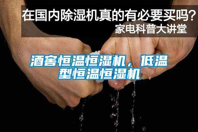 酒窖恒温恒湿机，低温型恒温恒湿机