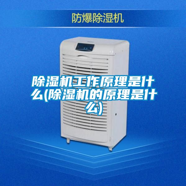 草莓视频APP在线观看工作原理是什么(草莓视频APP在线观看的原理是什么)