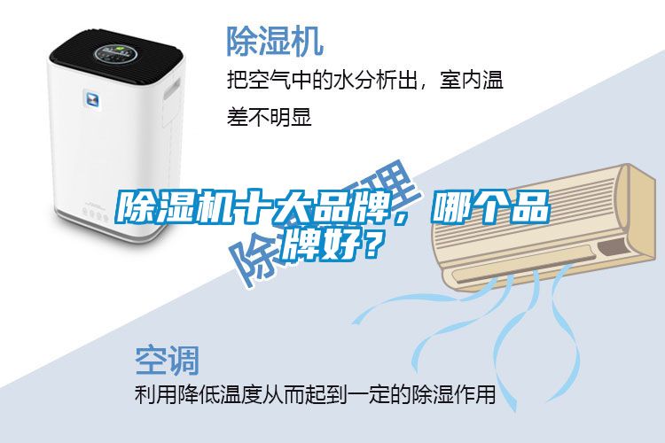 草莓视频APP在线观看十大品牌，哪个品牌好？