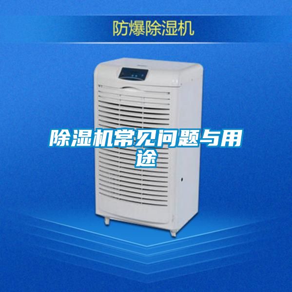 草莓视频APP在线观看常见问题与用途