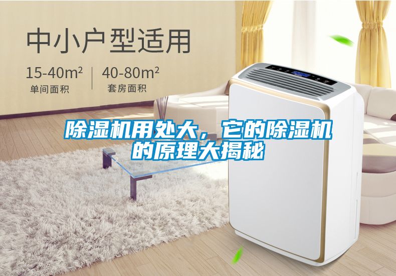 草莓视频APP在线观看用处大，它的草莓视频APP在线观看的原理大揭秘