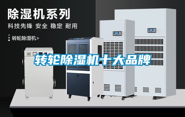 转轮草莓视频APP在线观看十大品牌