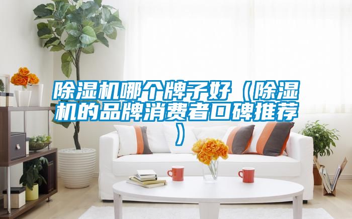 草莓视频APP在线观看哪个牌子好（草莓视频APP在线观看的品牌消费者口碑推荐）