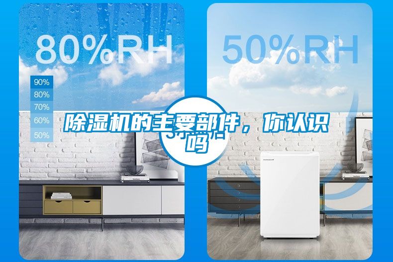 草莓视频APP在线观看的主要部件，你认识吗