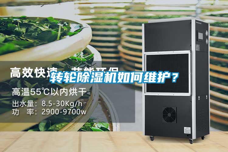 转轮草莓视频APP在线观看如何维护？