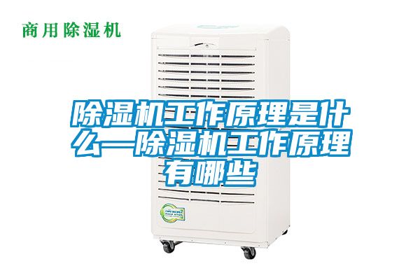 草莓视频APP在线观看工作原理是什么—草莓视频APP在线观看工作原理有哪些
