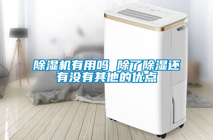 草莓视频APP在线观看有用吗 除了除湿还有没有其他的优点